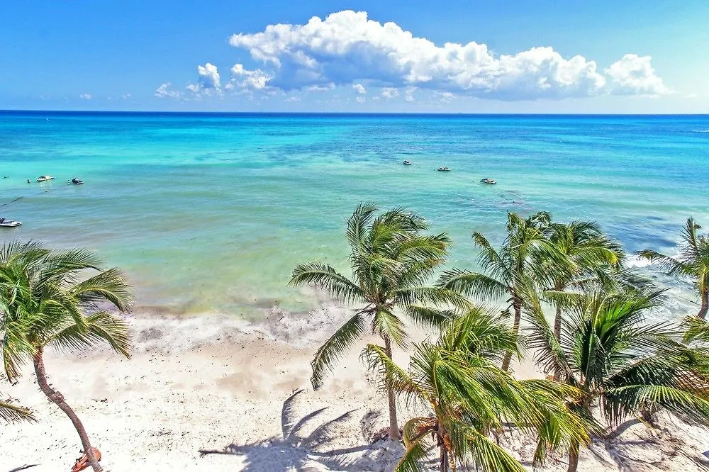 Faro Surf 407 By Nas Hotel Playa del Carmen